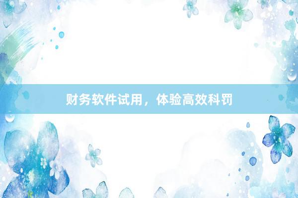财务软件试用，体验高效科罚